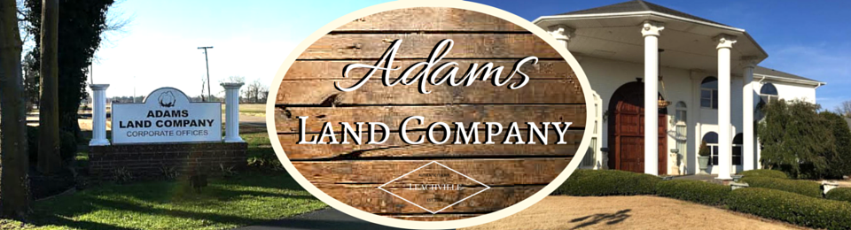 Adams Land Co
